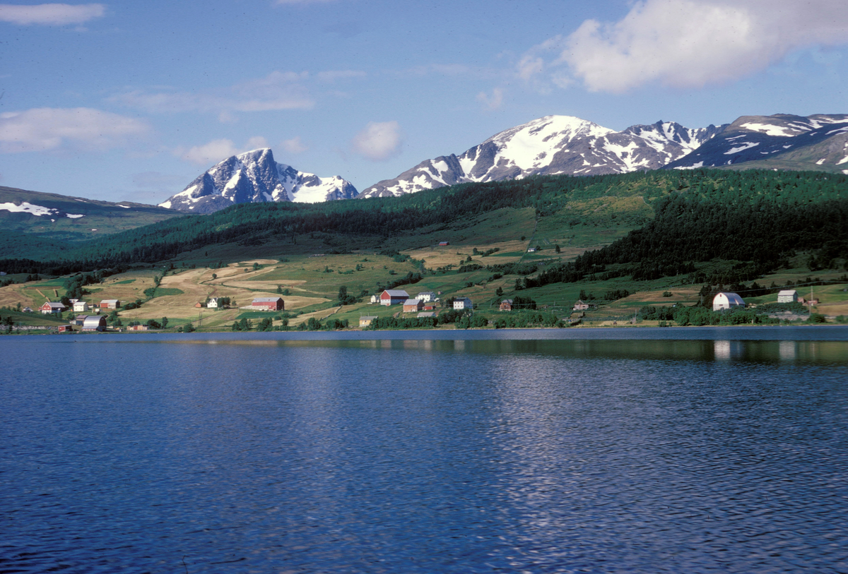 Balsfjord Stamfiskbasseng, Malangen 1974 : Kyststripe med dyrkamark og bondegårder. Snøkledde fjell i bakgrunnen.