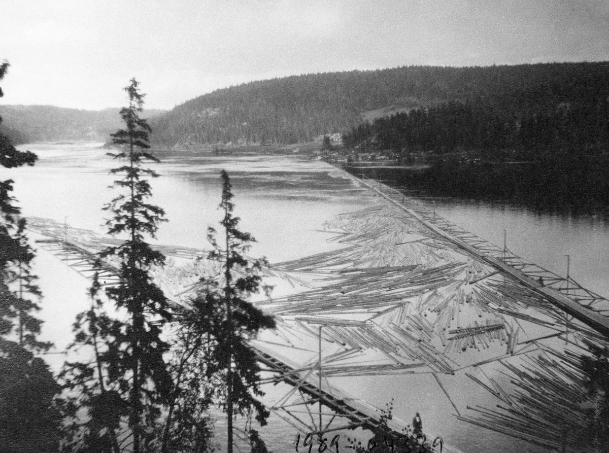 Inntaket til tømmerrenna ved kraftverksdammen i Solbergfoss i nedre Glomma.  Fotografiet er tatt i 1924, da anlegget var nytt. Bildet er tatt fra en bergrygg vest for damkonstruksjonen (Holmsåsen).  I forgrunnen ser vi toppene av en del grantrær som vokser litt lengre nede i dette berget.  Fotografiet viser et blankt vannspeil der det er lagt ei kraftig, V-formet lense som skulle fange opp løstømmer som kom med strømmen fra Øyeren og lede det mot inntaket til tømmerrenna ved kraftverksdammen.  Den østre lensearmen, som skulle forebygge at stokkene fløt innover i Lierevja, later til å være forankret i land ved et bruk som kalles Kastet på østre bredd, nordøst for sjølve dammen.  Da fotografiet ble tatt lå det en god del løstømmer på vannspeilet mellom lensearmene, som var konstruert som flåteganger med plankedekke.  Vi skimter et par menneskeskikkelser på disse gangene. 