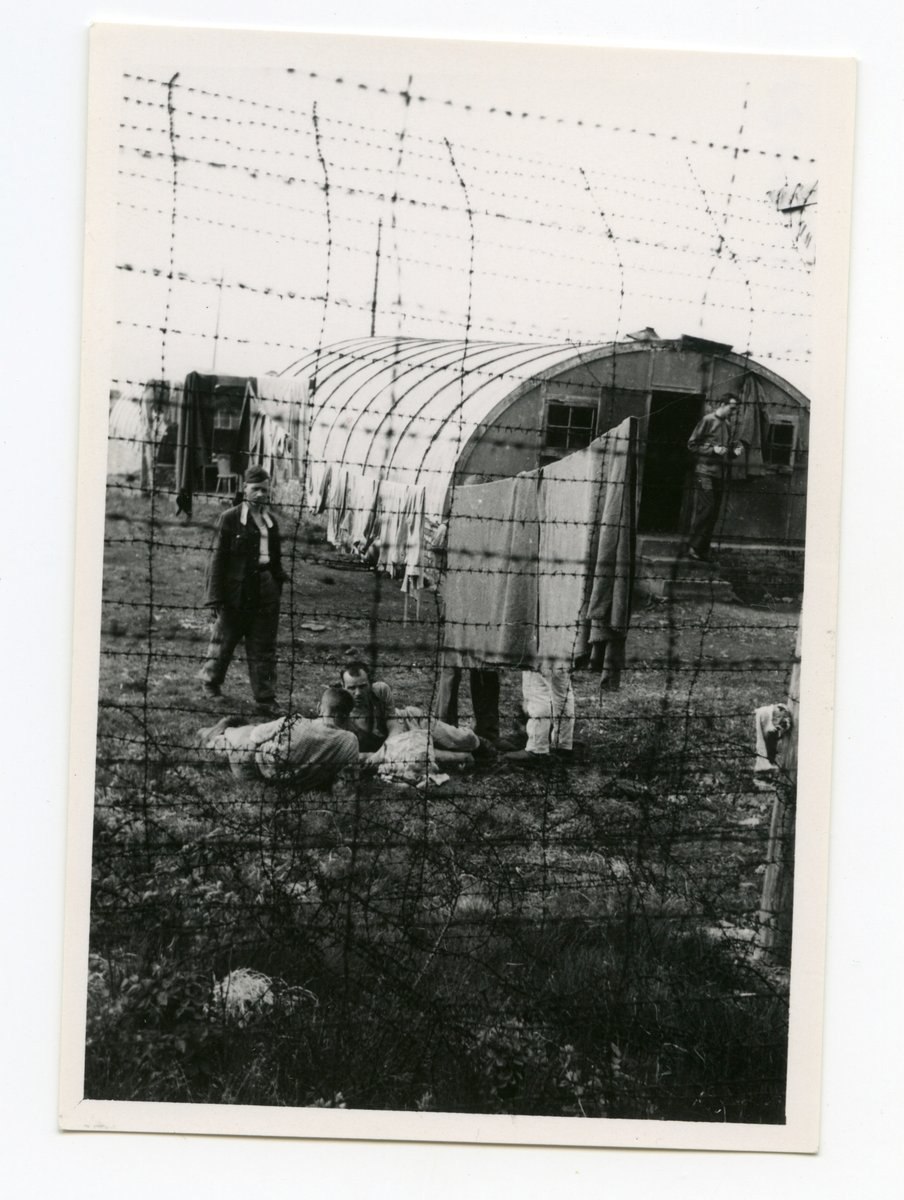 Fangeleir for russiske krigsfanger, Rauøy i Onsøy, mai 1945.
Leiren var omgtitt av piggtråd. Det ble ansett som bortimot umulig å rømme fra Rauøy. I tillegg til tysk vakthold og piggtråd var øya full av minefelter. Fangenes fysiske tilstand var dårlig, mao var svømmeturen til fastlandet  for lang.