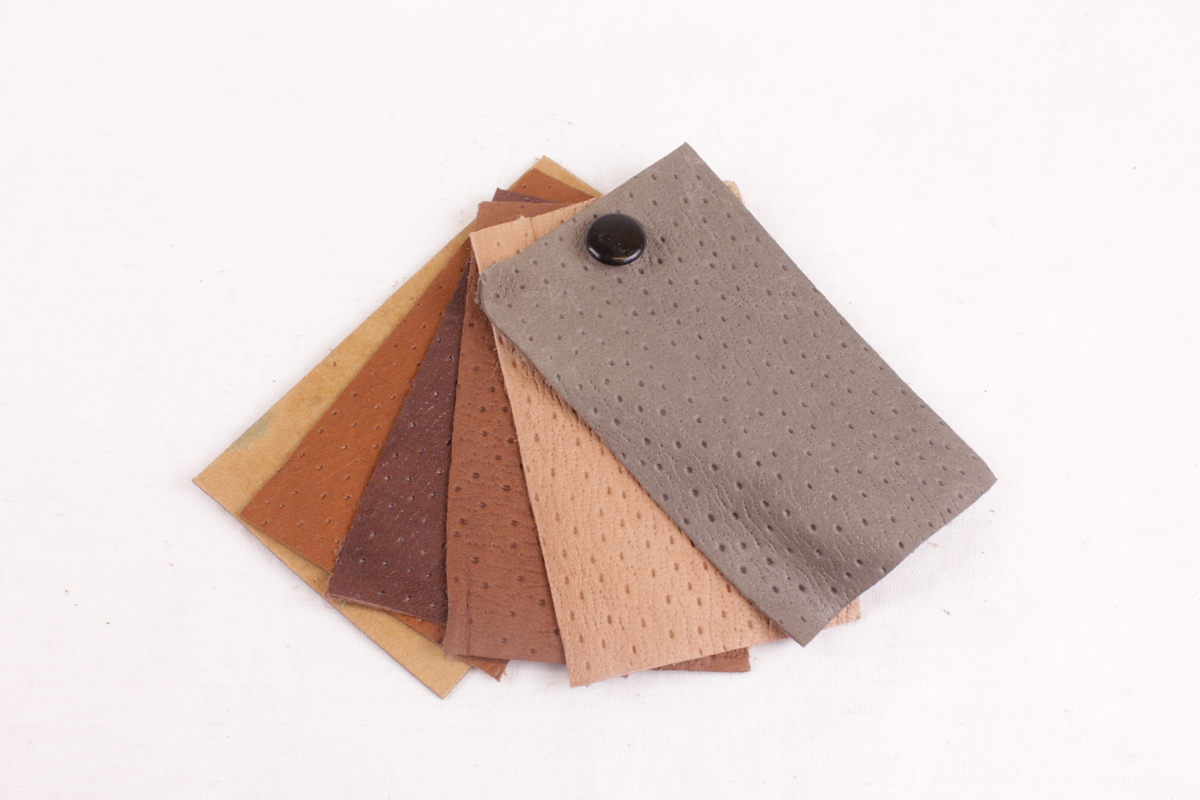 Skinnprøver festet sammen til vifteform.
