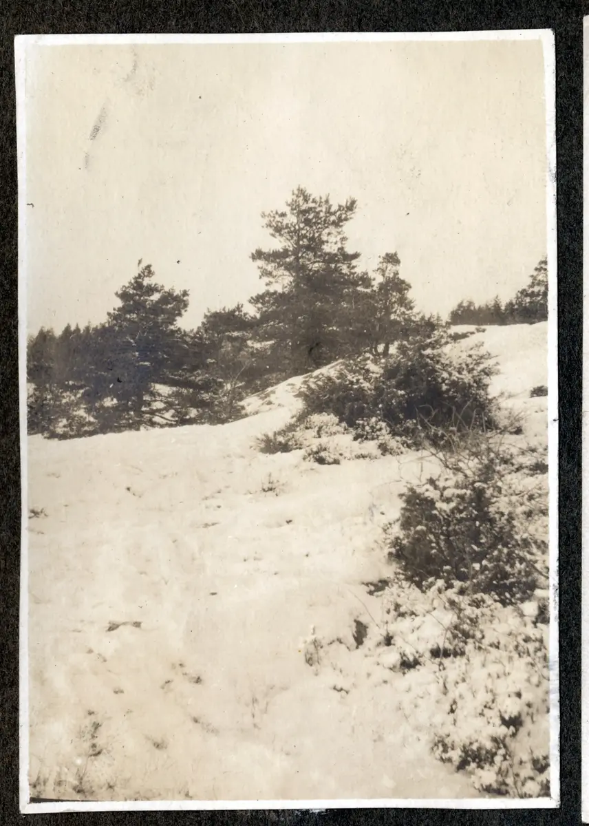 a) Snötäckt backe med små tallar

b) Vy mot kalt kustberg, små båtar, villor m m

c) Snötäckt landskap med liten tall. Solen står lågt

d) Vy över skärgård

e) Tre män, två kvinnor och ett barn, alla klädda i vitt, sitter på en strandäng framför träd

f) Stora teatern sedd från Vallgraven