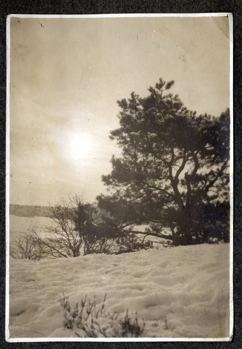 a) Snötäckt backe med små tallar

b) Vy mot kalt kustberg, små båtar, villor m m

c) Snötäckt landskap med liten tall. Solen står lågt

d) Vy över skärgård

e) Tre män, två kvinnor och ett barn, alla klädda i vitt, sitter på en strandäng framför träd

f) Stora teatern sedd från Vallgraven