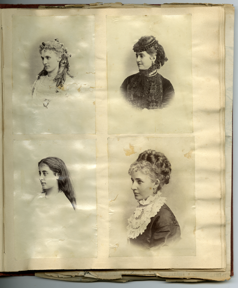 Scrapbooken inneholder foto av Faye familien på Dal gård i Ullensaker, samt diverse masseproduserte foto av datidens kjendiser og kongelige, blant annet dronning viktoria og hennes barn. Boken inneholder også postkort, utklipp av foto, karikaturtegninger og kollasjer