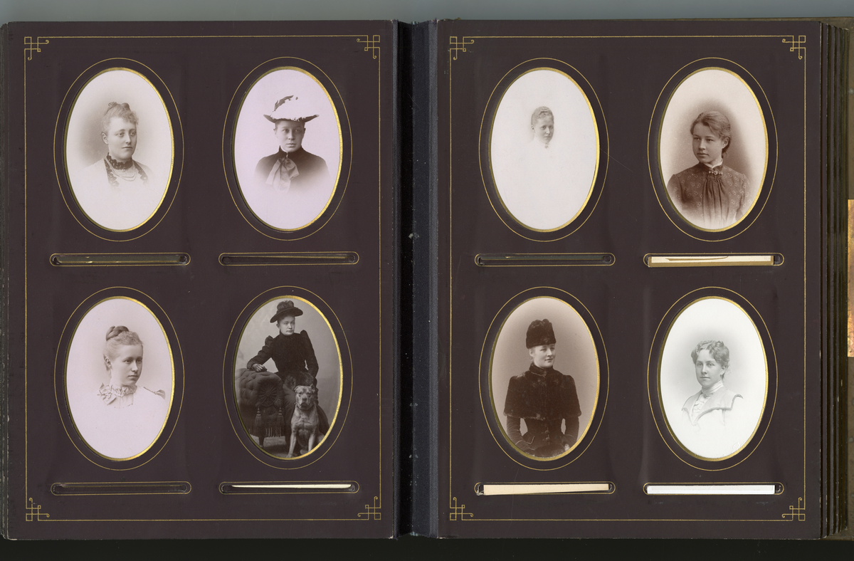 Visittkortfoto tatt på 1880- og 1890-tallet. Hovedsakelig studioportrett av familie og venner, Aall familie i Skien og Arendal samt noe Løvenskiold portretter