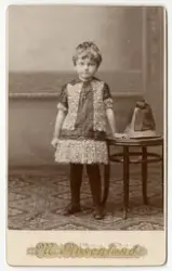 Aall familiens visittkortalbum (brun)