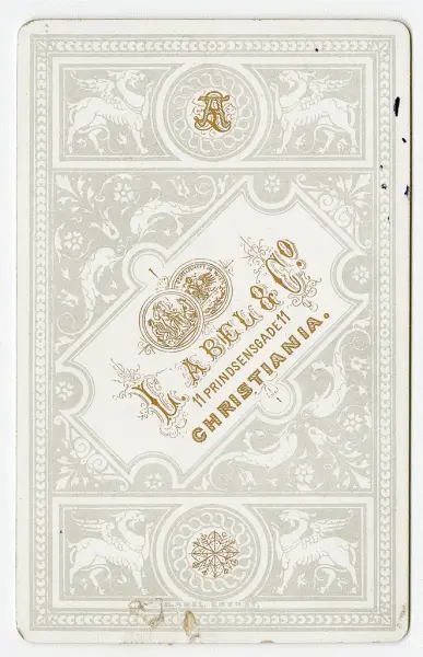 Aall familiens visittkortalbum (brun)