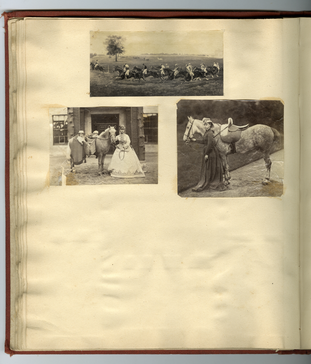 Scrapbooken inneholder foto av Faye familien på Dal gård i Ullensaker, samt diverse masseproduserte foto av datidens kjendiser og kongelige, blant annet dronning viktoria og hennes barn. Boken inneholder også postkort, utklipp av foto, karikaturtegninger og kollasjer