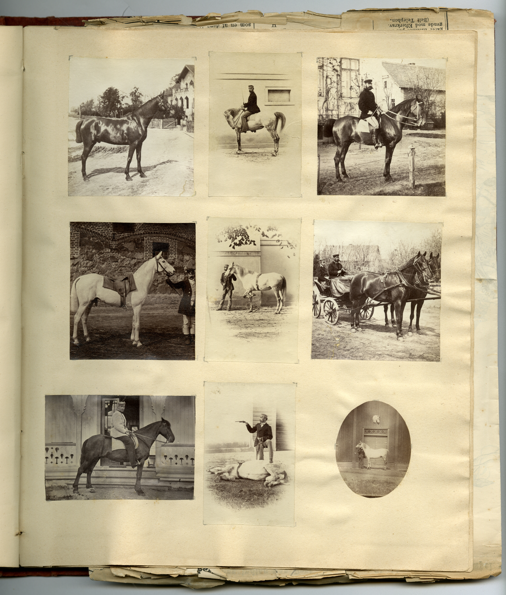 Scrapbooken inneholder foto av Faye familien på Dal gård i Ullensaker, samt diverse masseproduserte foto av datidens kjendiser og kongelige, blant annet dronning viktoria og hennes barn. Boken inneholder også postkort, utklipp av foto, karikaturtegninger og kollasjer