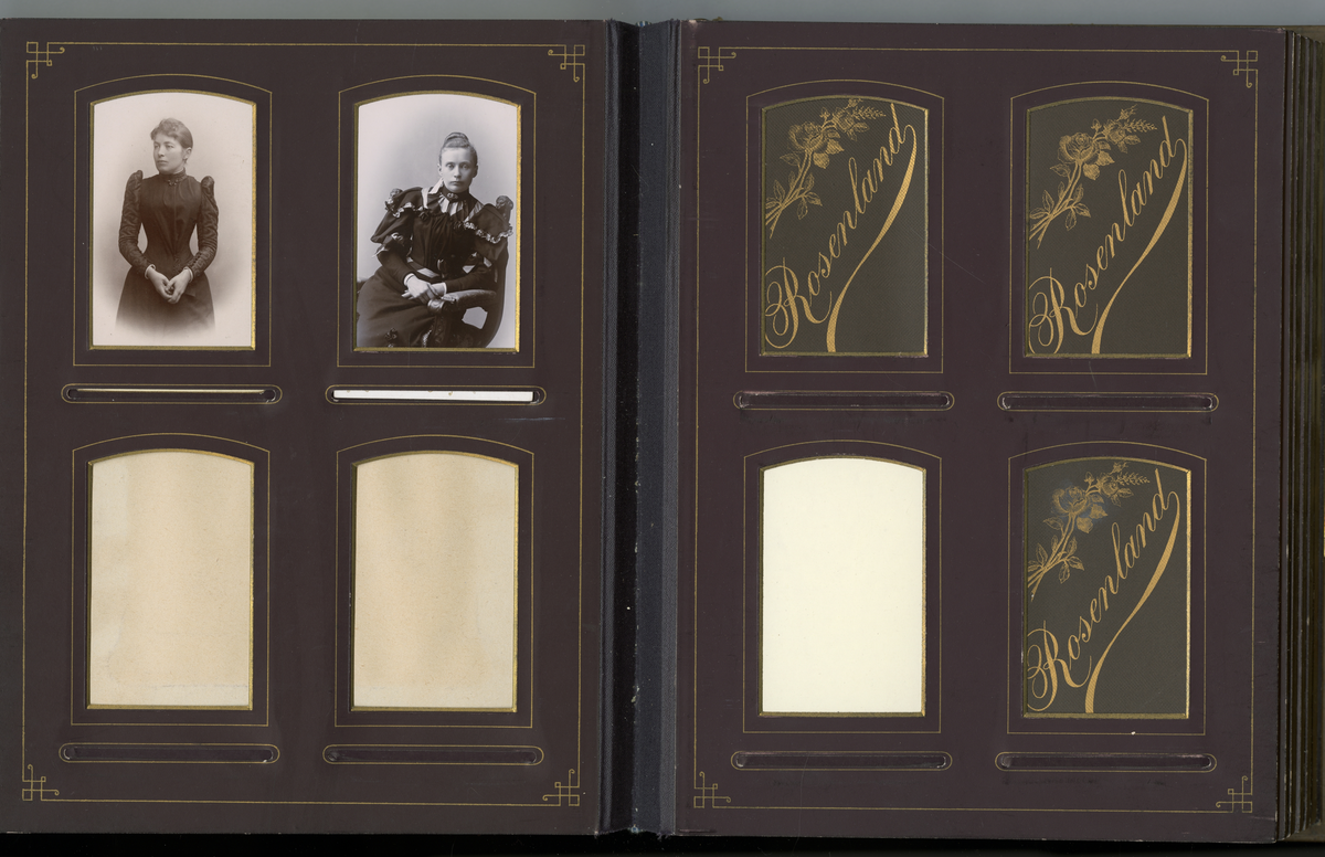 Portrett av ukjent kvinne som lener seg mot et stol, antagelig tatt på midten av 1890-tallet