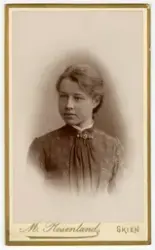 Aall familiens visittkortalbum (brun)