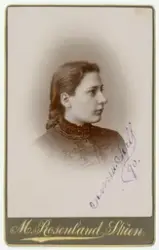 Aall familiens visittkortalbum (brun)