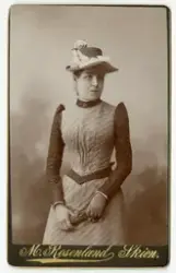 Aall familiens visittkortalbum (brun)