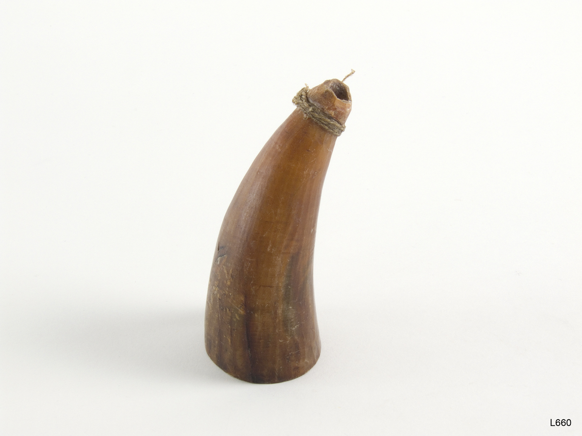 Kopphorn med senetråd rundt den (øverste) tynne enden. Størst lengde i luftlinje 8,7 cm . Størst diam. i den tykke enden 3,8 cm . Innkjøpt hos Inga Hansen , Jergul , av Vrn. våren 1953 . Bofast. Karasjok.