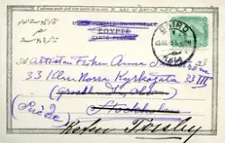 Framsida: svartvit fotografi av palmträd
påskrift övre högra