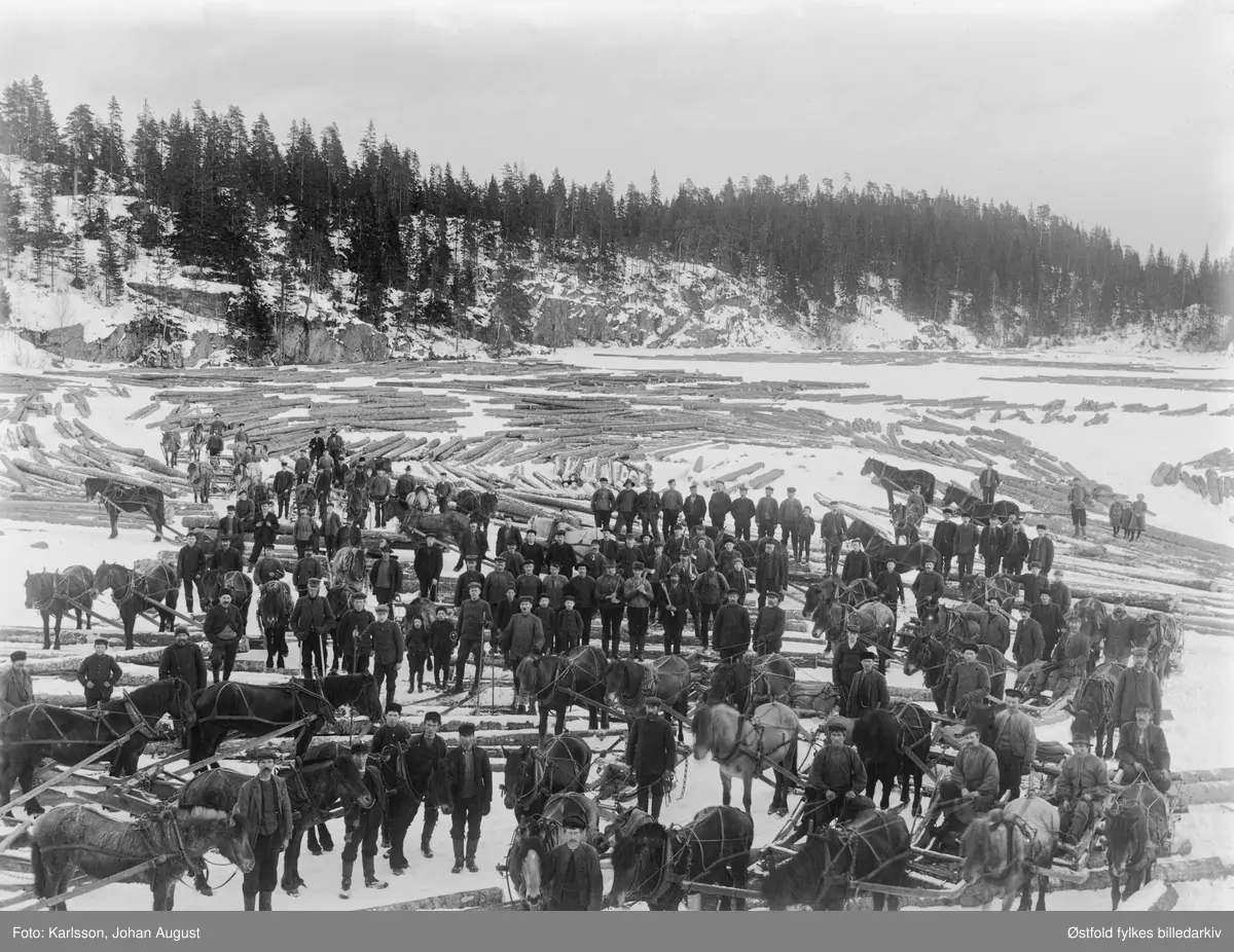 Tømmerkjøring og skogsarbeid på Rambergtangen i Tune,  antakelig før 1900.