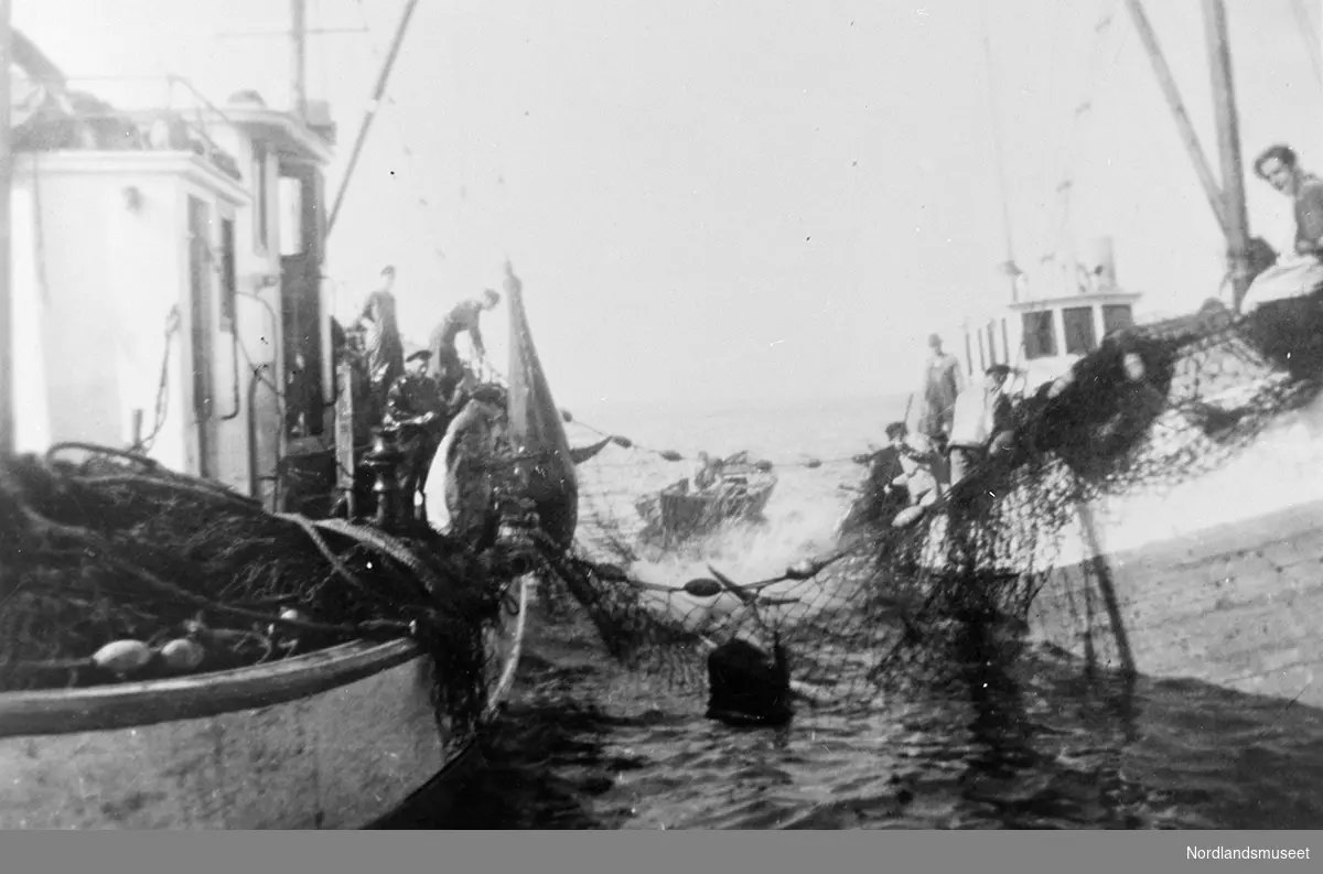 Flere menn ombord i to fiskebåter, "Fritjof" fra Nordnesøy og "Havdur" fra Rødøy. En lettbåt og en not sees, hav i bakgrunnen.