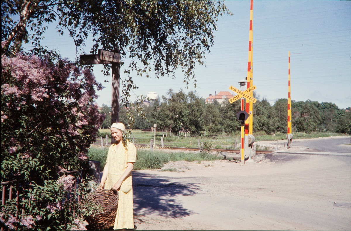 I hörnet Folkungagatan / Ulriksdalsgatan på Väster i Växjö, 1958.