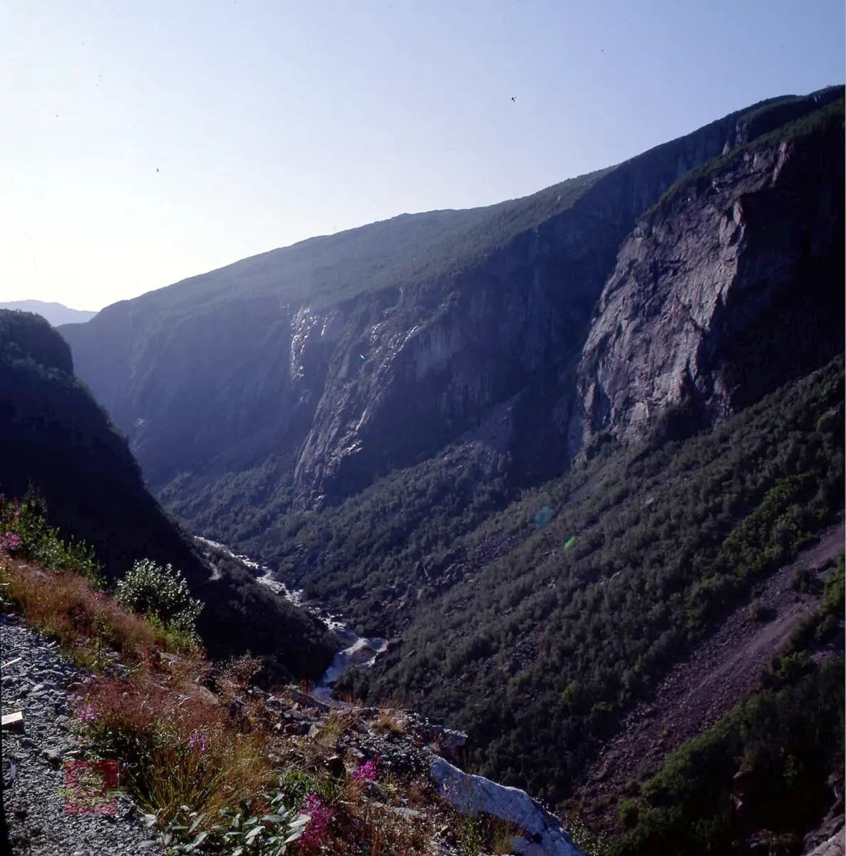 Hardangervidda  1987