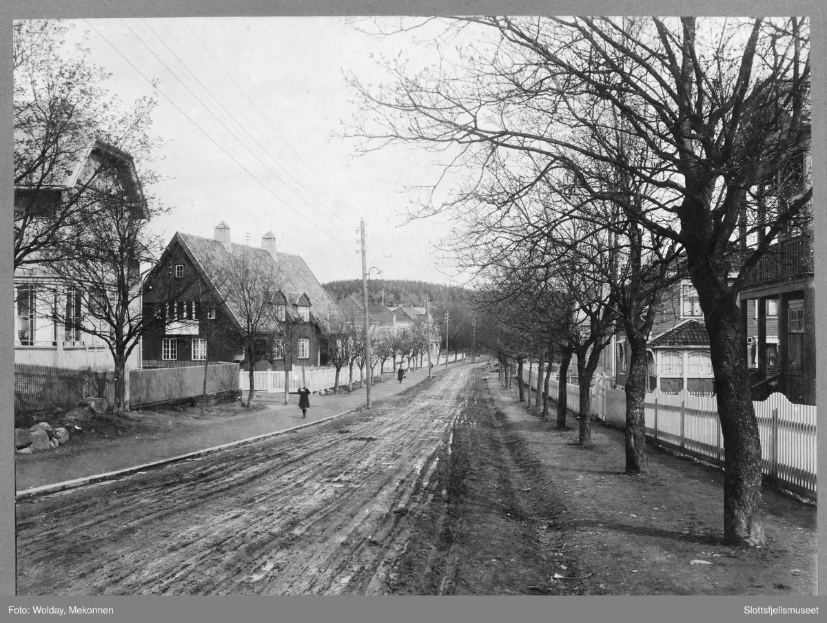 Nybygde strøk i Stemalveien, Tønsberg.
