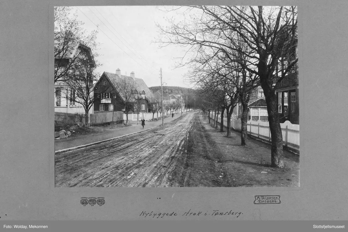 Nybygde strøk i Stemalveien, Tønsberg.
