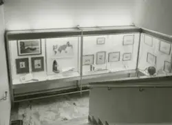 Utställning i trappmomter med teckningar av Gunnar Dahlgren.