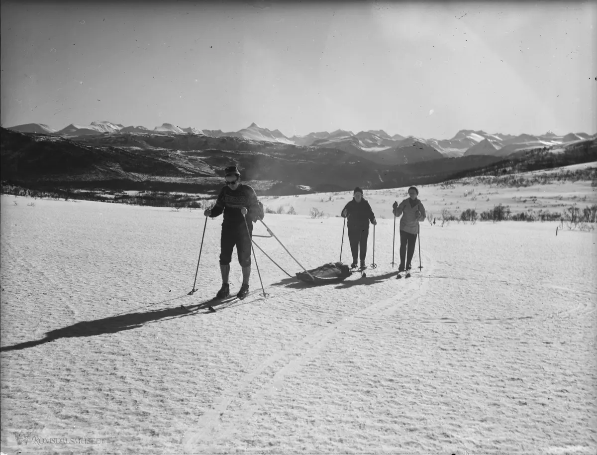 "På ski med Alf Erik i pulk. Vinteren 1963-1964".