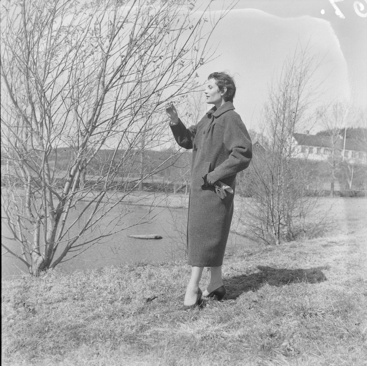 Tekstilutstillingen i Trondheim, 1954