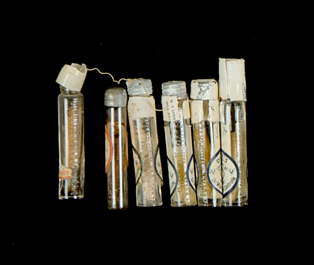 Sutursilke, samling. 

Flaska A). Längd:70mm Bredd: 13mm. Text på flaskan: Dr.VOMEL´S NÄHMATERIAL 

Flaska B). Längd: 70mm.Bredd:12mm.

Flaska C). Längd: 72mm. Bredd: 13mm. Text på flaskan: Dr.VOMEL´S NÄHMATERIAL 

Flaska D). Längd: 72mm. Bredd: 13mm. Text på flaskan: Dr.VOMEL´S NÄHMATERIAL 

Flaska E). Längd: 72mm. Bredd: 13mm. Text på flaskan: Dr.VOMEL´S NÄHMATERIAL 

Flaska F). Längd: 72mm. Bredd: 13mm. Text på flaskan: Dr.VOMEL´S NÄHMATERIAL