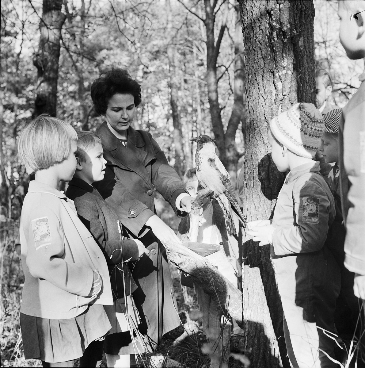 Fin final för Skogsmulleskolan, Uppsala 1961