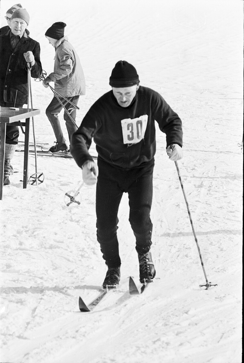 Korpens skidmästerskap, Uppsala 1966