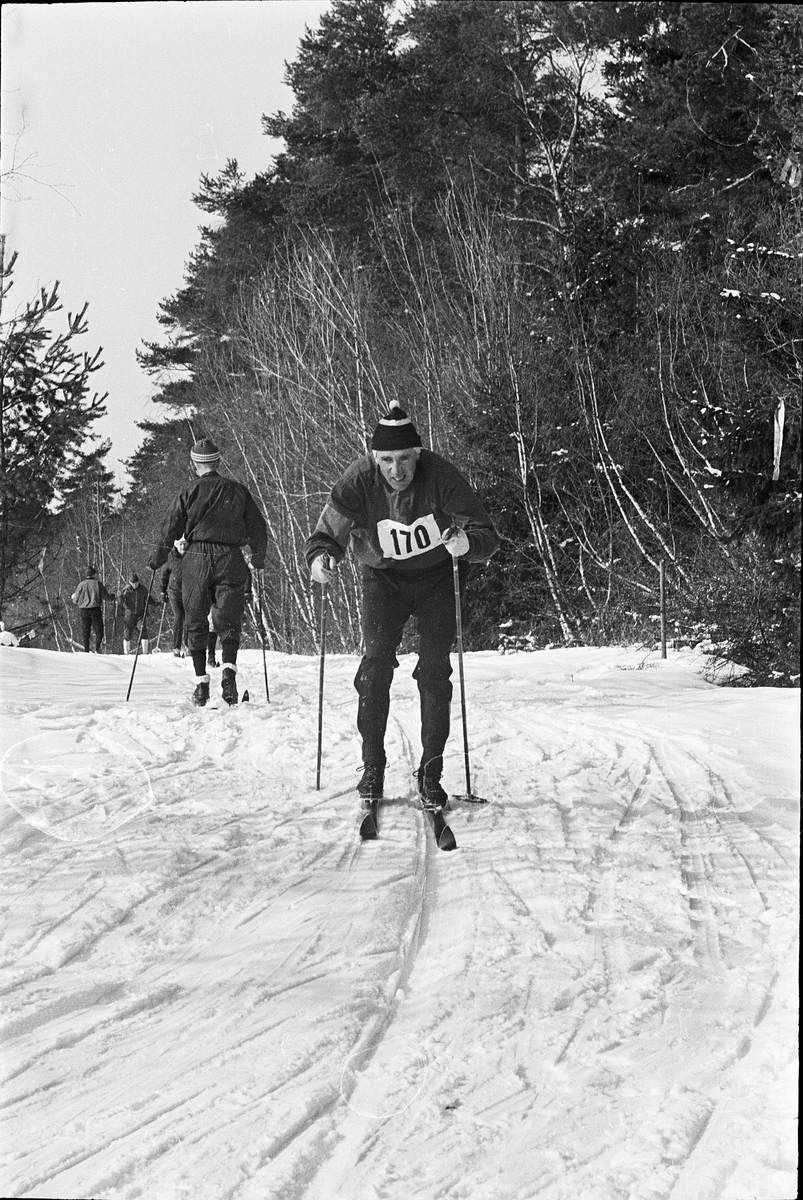 Korpens skidmästerskap, Uppsala 1966