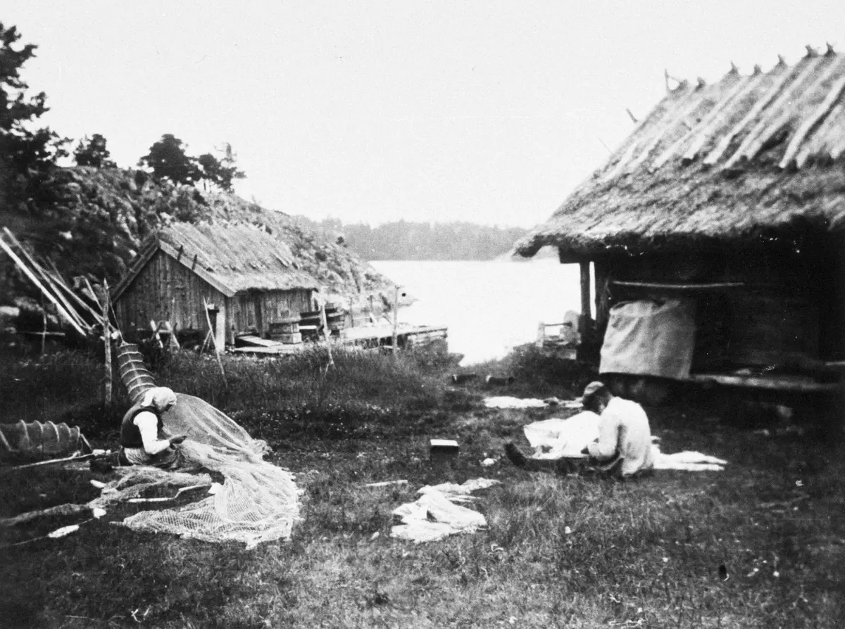 Kläppen. Reparation och underhåll. Ålryssja.
