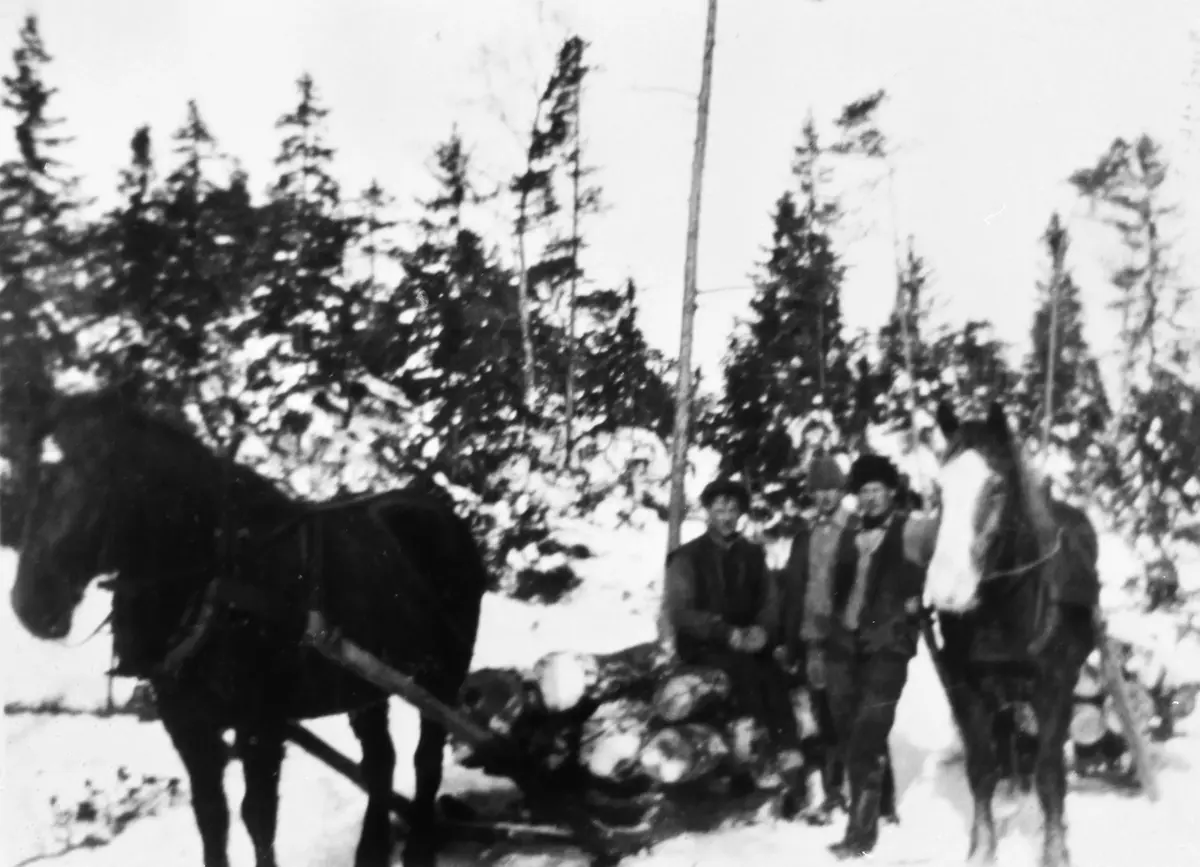 Timmerkörning. Erik, Johan och Evald Strömberg (Västanvik).