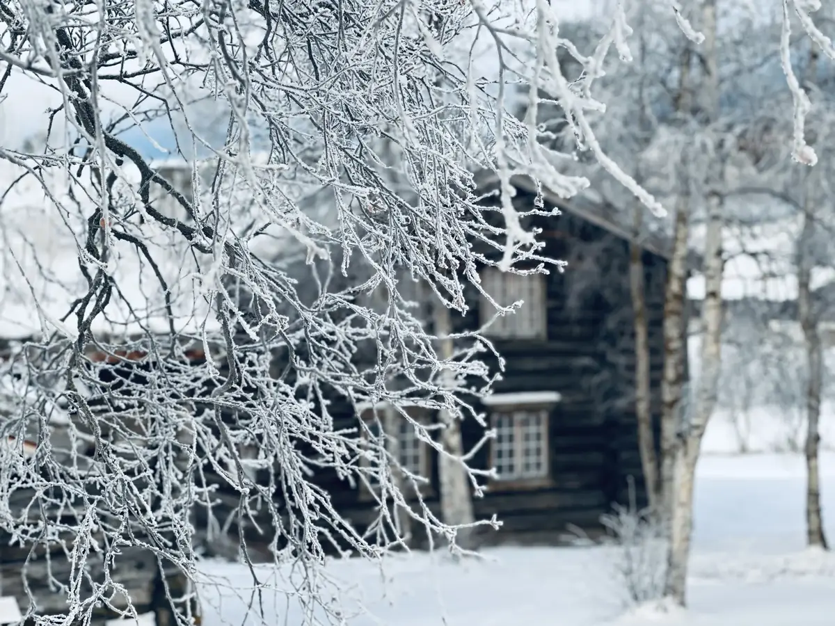 Vinter