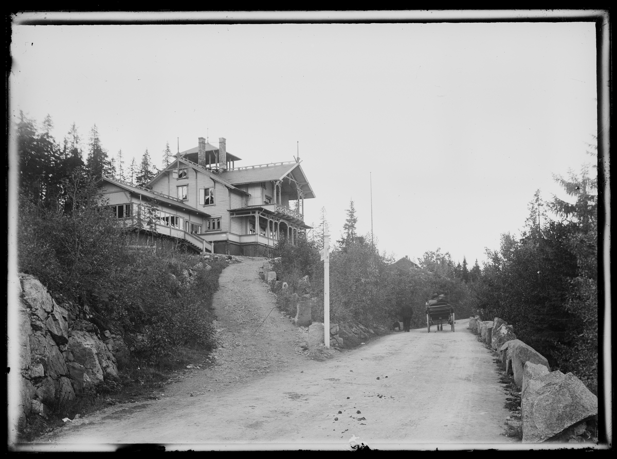 Utsikt til en vei med trær på hver side og Wilhelmsøy Hotell på en høyde til venstre. En hestekjerre med to personer kjører forbi.