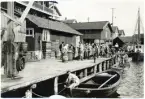 Skrivet på baksidan av fotot: En liten armé av glada fiskarjäntor saltar makrill på en brygga i Smögen.
Fotograferat av: G.B.G. museum