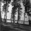 En sjö med björkar längst strandkanten. Små röda stugor står längst med sjön. Från stranden går en brygga. Någon står på bryggan och håller i en livboj.