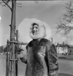 Tekstilutstillingen i Trondheim, 1954