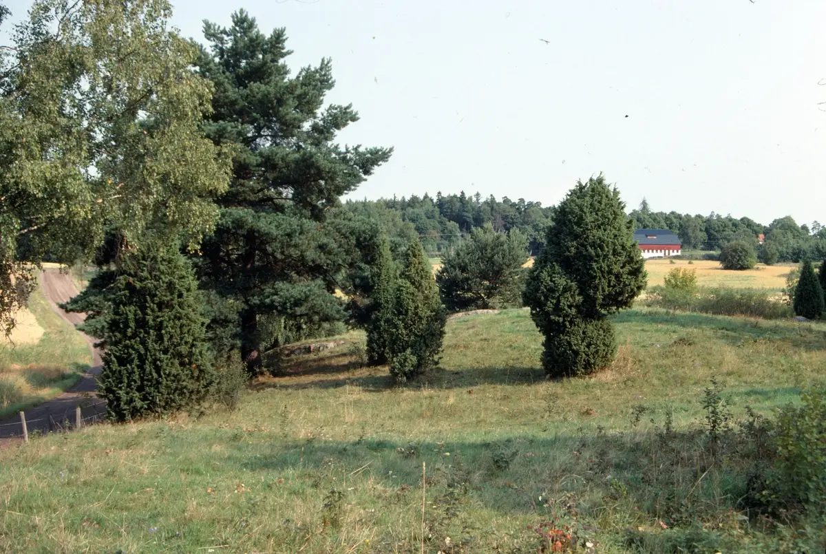 Skålhamra Kvighage. Skålhamra gård i bakgrunden
