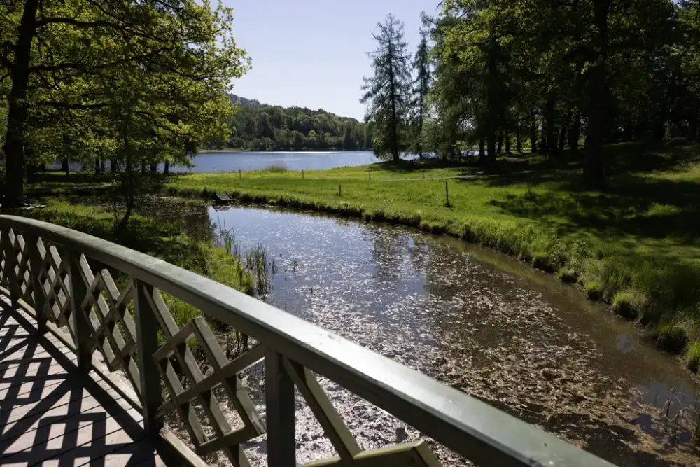 En bro i parken med en liten elv under.