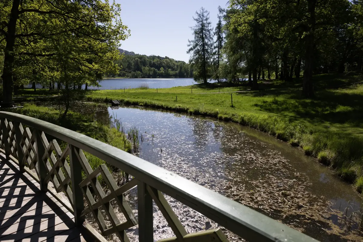 En bro i parken med en liten elv under.