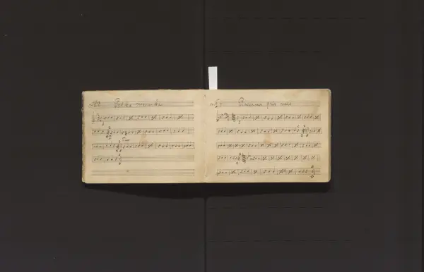 Musikkmanuskript