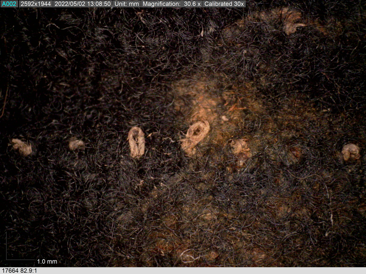 Fyndnummer 17664 innehåller 3 fragment av samma tyg. Fragmenten är tillverkade i en dubbelväv av ull och är idag brun med en stor mängd rostfläckar på. Väven är mycket tät och jämn och liknar inte några andra textilier från Vasa. Två av fragmenten har sömrester som visar att det är sytt med symaskin. Tygets karaktäristik pekar på att det förmodligen är maskinvävt. Symaskinen patenterades och började användas under 1800-talets mitt. Det är därför inte möjligt att det här tyget är från år 1628 då Vasa sjönk utan i själva verket är det mycket yngre. 

För mer detaljerad information från textildokumentationen (år 2022) se länkade filer.