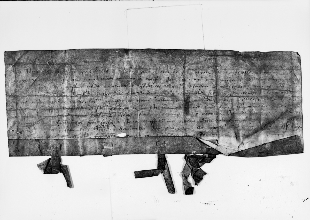Statsarkivet, foto av gamle skinnbrev