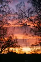 Utsikt från Ekelundsgatan österut mot Växjö, 1967.