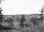 Ett tidigare icke lokaliserat motiv ur museets fotosamlingar som genom extern hjälp nått visshet. Lotorp med John Fröbergs fabriksanläggning i bildens vänstra del. Företaget hade grundats redan 1879 och anses vara Sveriges första postorderföretag, som hart när sålt allt som kunnat skickas med post. Det vinkelbyggda huset var firmans första egentliga industrilokal och som i omgångar hade byggts ut. Tegelbyggnaden med det valmade takfallet uppfördes enligt uppgift 1919 för att yttermera stärka firmans tillverkning av trycksaker. Bilden är odaterad men kan antas tillkommit omkring 1930. Fotbollsplanen i förgrunden tillkom efter att Lotorps IF grundats 1923 och vid sidan av spelplanen skymtar omkädningshuset som uppfördes 1928.

Anm: Fotografiet har tidigare tillskrivits Linköpingfotografen Didrik von Essen (1856-1922). Av tekniska skäl kvarstår han som upphovsman även om det avfärdats.