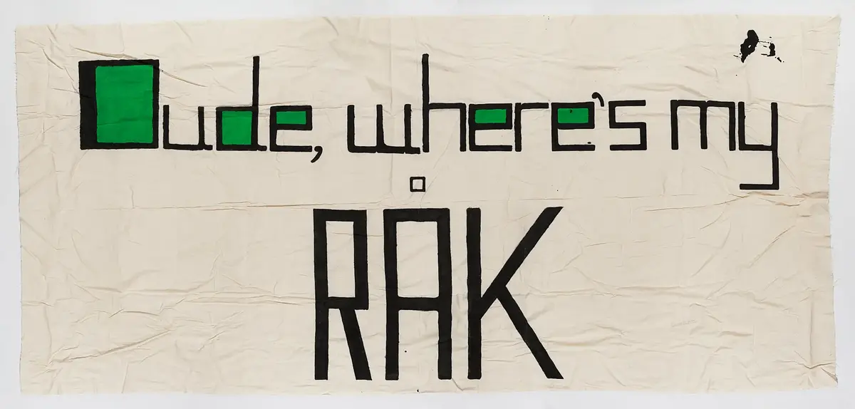 Eitt av to banner frå arkivet til Norsk Målungdom, med teksten: "Dude, where's my språk?". Det er truleg at bannera har vore i bruk under ein aksjon for Norsk Målungdom.