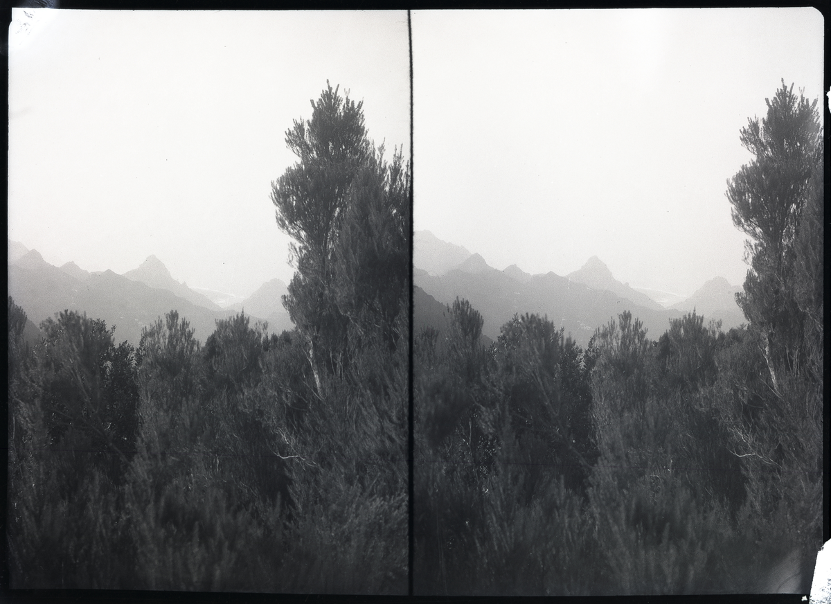 Foto tatt under reise i Afrika, landskap med fjell og skog 

Fotografen reiste til flere forkjellige land i Afrika, blant annet Libya, Marokko og Algerie
Sterioskopisk motiv