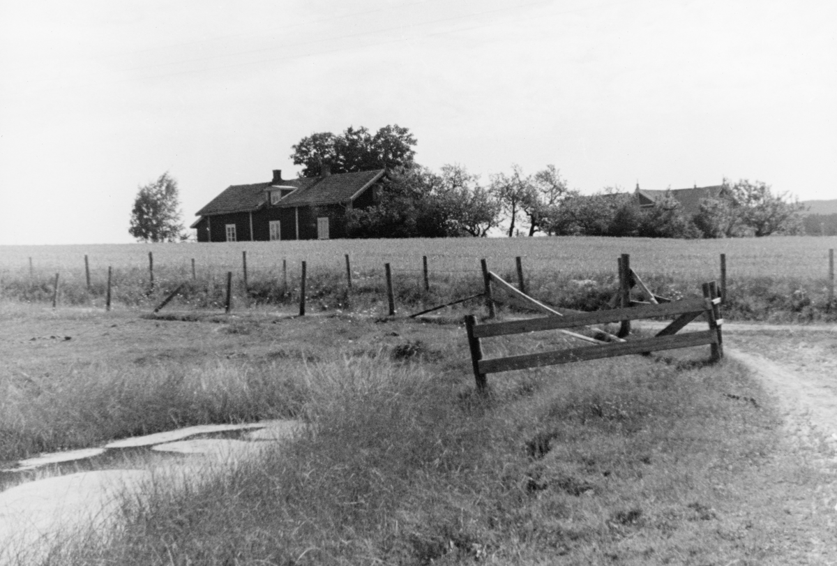 Gardstun på et sted som i Glomma fellesfløtingsforenings album nr. 13 er kalt "Vestby - Norgården".  Fotografiet er tatt fra kanten av en kjøreveg på et jordbruksareal.  Til venstre i forgrunnen er det et beiteareal med en liten dam i vegkanten. På begge sider av en veg som går på tvers av den retningen fotografiet er tatt i var det trådgjerder.  Bakenfor vegen igjen ser vi en kornåker.  På den andre sida av åkeren, på en bakkekam, lå et lite gardsbruk.  Til venstre i tunet lå et våningshus av det som i byggeskikklitteraturen kalles "midtgangtypen".  I taket over midtpartiet på bygningen var det oppbygd en slags ark.  Bak den skimtes ei skorsteinspipe.  Taket var tekket med krum teglstein.  Til høyre for våningshuset, bak en eplehage og litt lavere i terrenget, ser vi taket på en annet bygning, antakelig et uthuskompleks. 