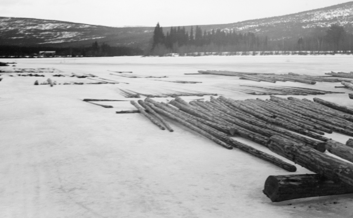 Delvis nediset tømmer på Glåma ved Hanestad i Rendalen vinteren 1941. Virket var lagt i flakvelter, som bestå av ett lag med parallelle stokker, vinkelrett på et par underlagsstokker, som egentlig skulle hindre at det sank ned i is og snø og bler gjennomtrukket av fukt før fløtingssesongen startet. Stort fuktinnhold i veden økte nemlig faren for at tømmeret sank på den lange vegen nedover vassdraget når fløtingssesongen startet.

Dette var en tømmertilleggingsmåte det var nærliggende å gripe til på steder der det var flatt og god plass. På denne måten ble virket lett tilgjengelig for tømmermålerne, som skulle lese innslåtte lengdemål og ta diametermål ved hjelp av klaver før de avsluttet "annamminga" ved å slå kjøpernes merker inn i yteveden. Samtidig var det en utbredt oppfatning at slik tillegging økte risikoen for at virket ble så fuktig at det kunne synke under fløtinga påfølgende vår. Forstmannen Johannes Kåsa skriver i boka «Skognytting» (1952, side 108) at «Tillegg på is kan gå an for malment tømmer på stader der våren er tørr og hvor isen ligger til slutten av april. Slike tilhøve har vi i de indre Østlandsbygder. I kystbygdene derimot er tømmeret mer såttent og våren våtere samstundes som isen går opp mye tidligere. Her fører metoden erfaringsmessig til mye søkketømmer. Jo tidligere tømmeret blir lagt på is, desto dårligere tørkeutsikter er det. Så lenge isen er tynn, kan nemlig tømmertyngda og snøen klemme den ned så det kommer vann oppå. Dette kan stige opp i veltene så tømmeret til slutt fryser heilt inn i isen.»